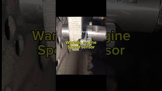 How to Wartsila engine speed sensor install  change wartsilaengine speedsensor speedsensation [upl. by Madian929]