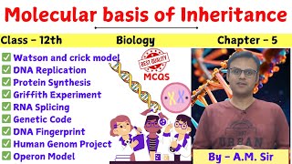 Molecular basis of inheritance class 12  Biology class 12 chapter 5  CBSE NEET [upl. by Acnayb]