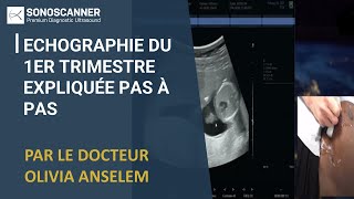 Webinar Sonoscanner Echographie du 1er trimestre expliquée pas à pas [upl. by Miuqaoj]