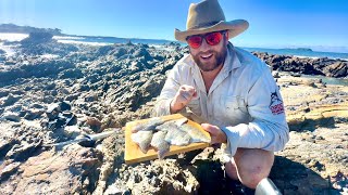 Catch and Cook on the rocks  Batemans bay rock fishing in heavy swell with ultralight gear [upl. by Assena]