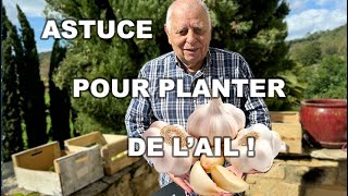 ASTUCE pour PLANTER de lAIL 🧄 Choix Sol Maladie Climat Récolte [upl. by Nosyt157]