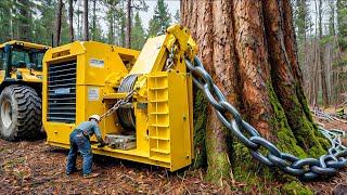 Extreme Dangerous Fastest Big Chainsaw Cutting Tree Machines  Monster Stump Removal Excavator 78 [upl. by Howzell]