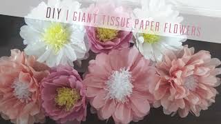 DIY  GIANT TISSUE PAPER FLOWERS [upl. by Wichman]