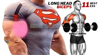 11 BEST BICEPS WORKOUT  LONG HEAD  WITH DUMBBELLS ONLY AT HOME TO GET BIGGER ARMS FAST [upl. by Adlay682]