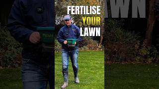 When is the best time to use fertiliser for the best lawncare results shorts [upl. by Alledi213]