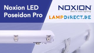 Réglette LED Étanche Poseidon Pro Noxion  Lampdirectbe [upl. by Ydnerb452]