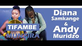 Diana Samkange amp Andy Muridzo  Tifambe Munzira Audio [upl. by Akenn]