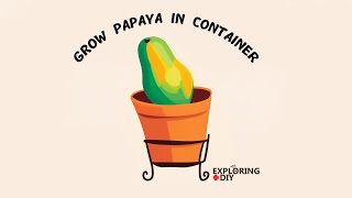 HOW TO GROW PAPAYA IN CONTAINER [upl. by Notsej308]