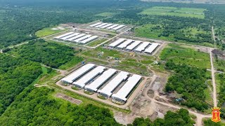 Inside SMCs mega poultry farm in Hagonoy Davao del Sur [upl. by Razaile]