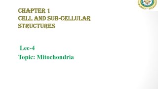 Mitochondria  Powerhouse of the Cell  Self Replicating Organelle  Federal Biology [upl. by Haik986]