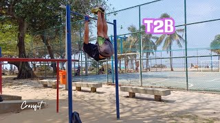 Apprendre le T2B Toes to Bar Crossfit [upl. by Ylrbmik842]