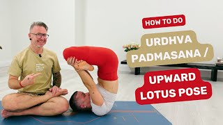 How to do Urdhva Padmasana  Upward Lotus Pose in Ashtanga Yoga [upl. by Ronalda]