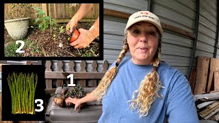 3 Quick projects to put the Food Forest to Sleep  Southern Latitudes [upl. by Royden901]