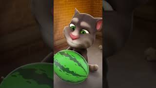 Talking Tom live 11 [upl. by Brubaker]