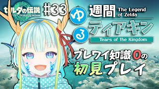 【＃週間ゆるティアキン】そろそろゲルド行ってみるかぁ33【竜田万秋Vtuber】 [upl. by Volkan]