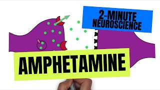 2Minute Neuroscience Amphetamine [upl. by Leamiba177]