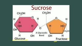 Oligosaccharides  Carbohydrates  Biochemistry [upl. by Faline]