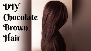 Dye Hair Chocolate Brown at home  Supper Affordable [upl. by Randolph439]