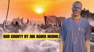 NEW DERGEL HIT SONG BOR COUNTY BY JOK AGUEK NGONG [upl. by Aineles]