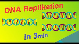 DNA Replikation  Erklärvideo [upl. by Llenrahs576]