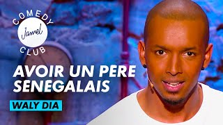 Waly Dia  Avoir un père sénégalais  JAMEL COMEDY CLUB  SAISON 5 2013 [upl. by Merriott856]