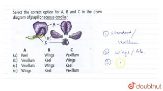 Select the correct option for AB and C in the given diagram of papilionaceous corolla  11 [upl. by Olympia]