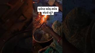 What is flavour of smoke🔥 chulokathiyawadi foodshorts shortsfeed gujarat [upl. by Iramohs]