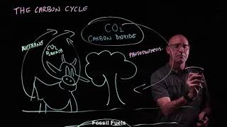 The carbon cycle [upl. by Annaiek]