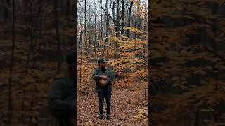 i spent october in a small cabin in the woods and wrote this song 🍂 canada solitude [upl. by Soo]