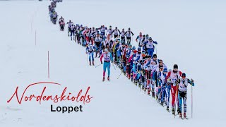 Nordenskiöldsloppet 2024 Jokkmokk till Njavve Och tillbaka [upl. by Dannel]