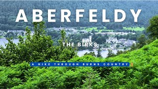 Birks of Aberfeldy [upl. by Carlen706]