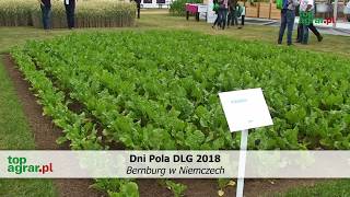 Dni Pola DLG 2018 Bernburg Niemcy [upl. by Lilla313]