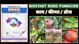 Roko fungicide Roko Drenching  fungus control [upl. by Roht875]