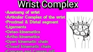 Biomechanics Of Wrist Complex details easy Notes physiotherapy BPT 📝 [upl. by Lorne701]