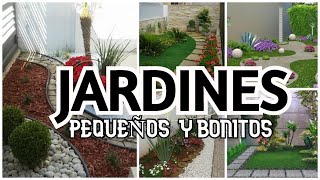 IDEAS DE DECORACION PARA JARDINES PEQUEÑOS En Casa con La Tía Milly [upl. by Tychon]