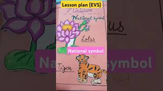 Lesson Plan EVS DPSE DELE BED lessonplan essonplan learning earlychildhoodeducation [upl. by Dnaletak]