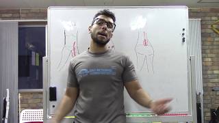 Trigger Points Prostatitis Chronic Pelvis Pain [upl. by Naltiak]