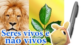 Seres vivos e seres não vivos  vivíparos e ovíparos [upl. by Nertie]