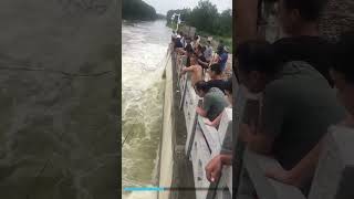 Fishing under bridge so many fish under this bridge very high water current fishing netsfishing [upl. by Joey211]