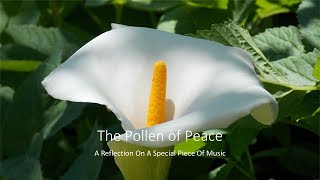 The Pollen of Peace  A Musical Reflection On A Special Hymn [upl. by Yrbua]