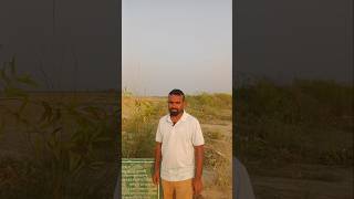 মাজার দিয়া চর 🇧🇩🖤 part4 travel viralvideo rajshahi [upl. by Babbie]