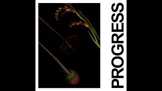 IDLES  PROGRESS Official Audio [upl. by Panayiotis626]