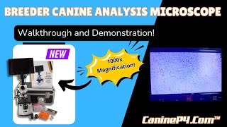 Breeder Microscope Demonstration  Breeder Canine Analysis Microscope 1000x [upl. by Raji]