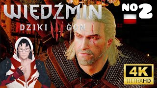 ⭐️ Wiedzmin 3 Dziki Gon 2 ⭐️ [upl. by Pat]