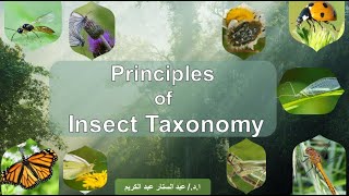 المراتب التقسيمية Taxonomic categories [upl. by Krysta]