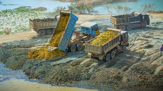 Excellent Skill Filling Deep Pond by Wheel Loader With Dump Truck Pushing Soil Into Deep Water [upl. by Robbin]