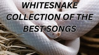 Whitesnake best songs collection [upl. by Nomolas]