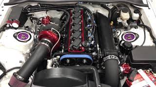 John’s 34L PTE6870 torque monster Supra build [upl. by Vescuso363]