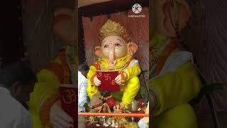 Best costly verity statues vinayaka 🙏🙏🙏🙏🙏trending viralvideo vinayakachavithi [upl. by Lrak6]