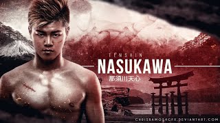 How to Fight Like Tenshin Nasukawa Indepth [upl. by Elspeth]